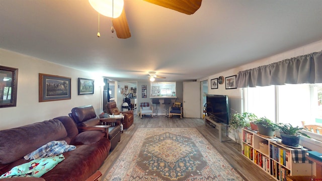 living room featuring ceiling fan and hardwood / wood-style flooring