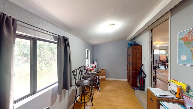 interior space with a textured ceiling, plenty of natural light, vaulted ceiling, and light hardwood / wood-style flooring