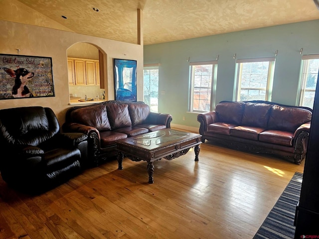 living room featuring light hardwood / wood-style floors and vaulted ceiling