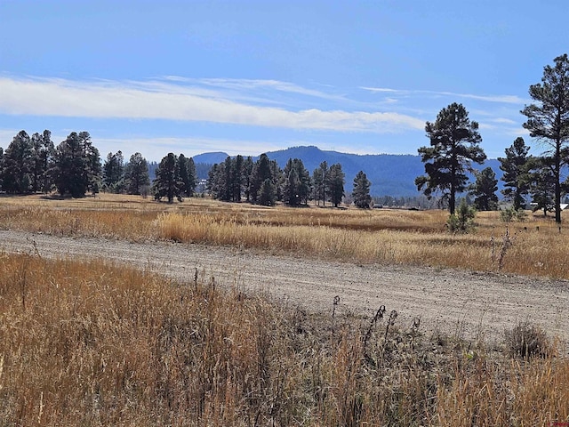 189 Sandlewood Dr, Pagosa Springs CO, 81147 land for sale