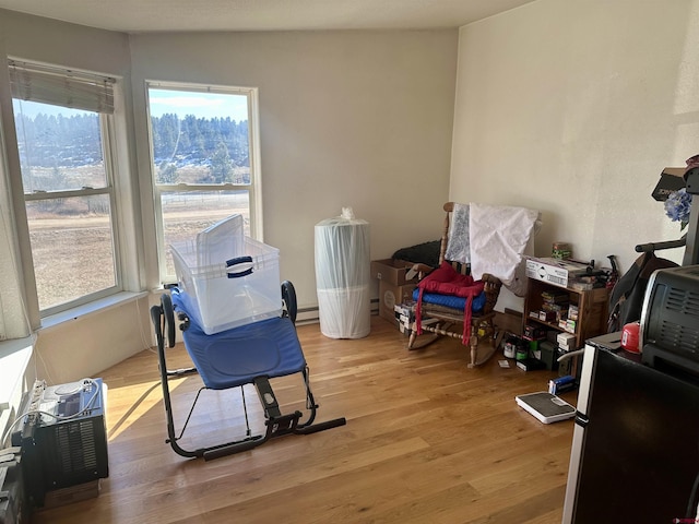 interior space with lofted ceiling, light wood-type flooring, and a baseboard radiator