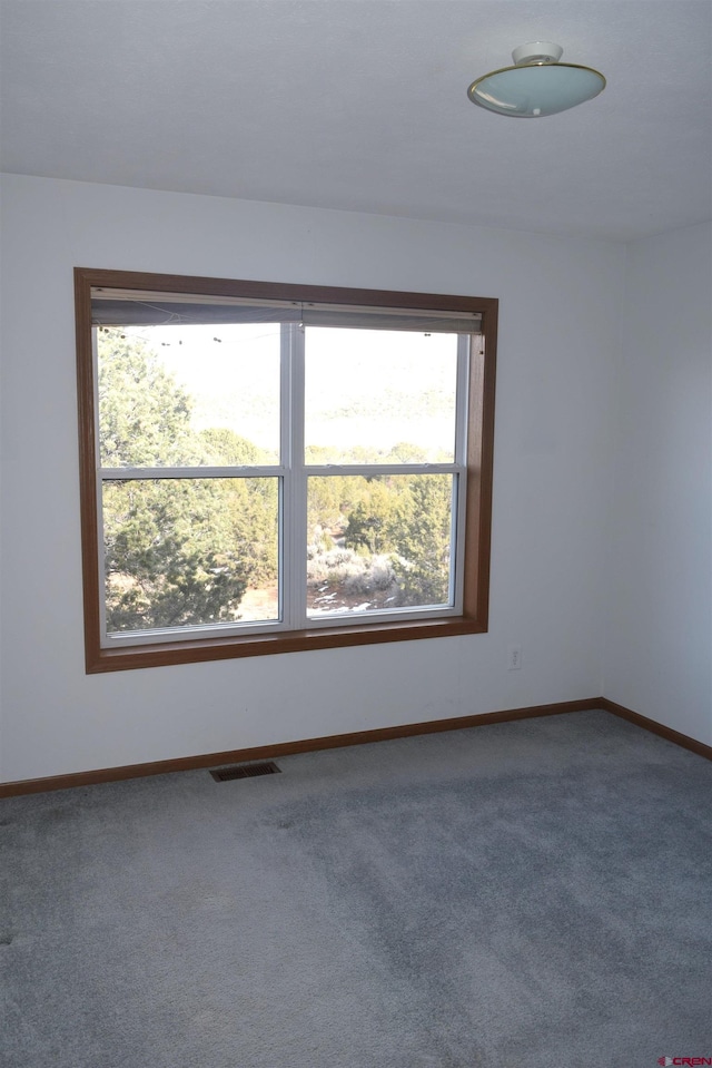 carpeted spare room featuring a wealth of natural light