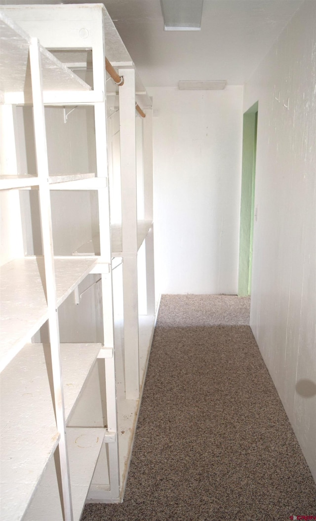 walk in closet featuring carpet