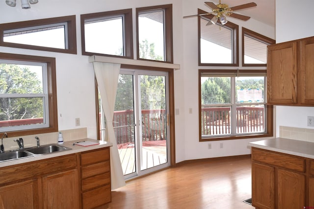 kitchen with light hardwood / wood-style flooring, ceiling fan, and sink