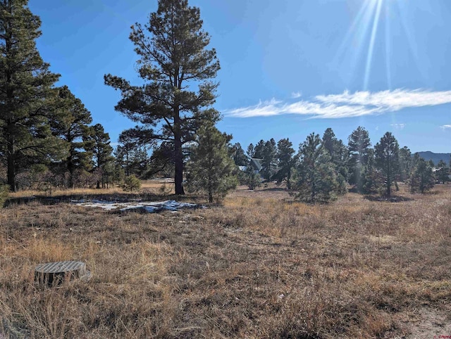 147 Park Ave, Pagosa Springs CO, 81147 land for sale