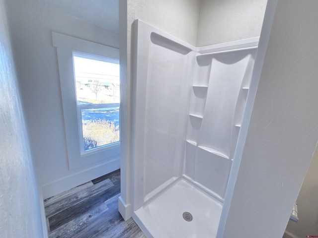 bathroom featuring hardwood / wood-style floors and walk in shower