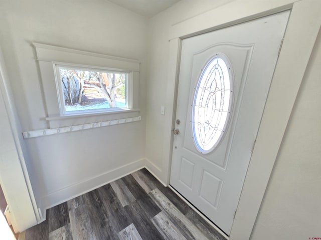 entrance foyer featuring dark hardwood / wood-style flooring