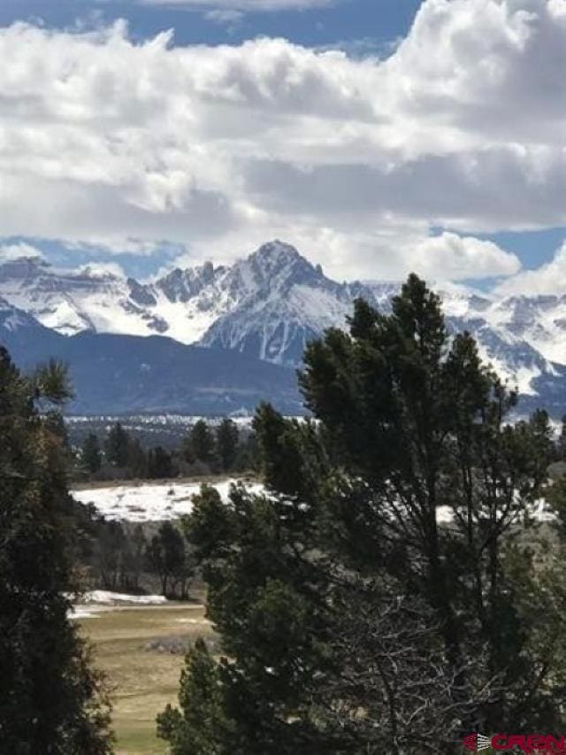 294 Marmot Dr, Ridgway CO, 81432 land for sale