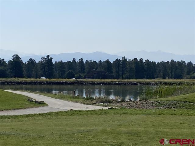 Listing photo 3 for 294 Marmot Dr, Ridgway CO 81432