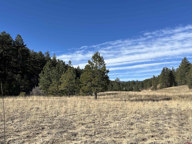 TBD San Pablo Canyon, Weston CO, 81082 land for sale