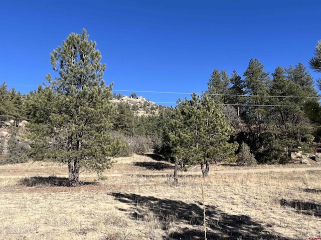 Listing photo 3 for TBD San Pablo Canyon, Weston CO 81082