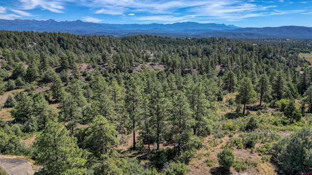 128 S Feather Ct, Pagosa Springs CO, 81147 land for sale