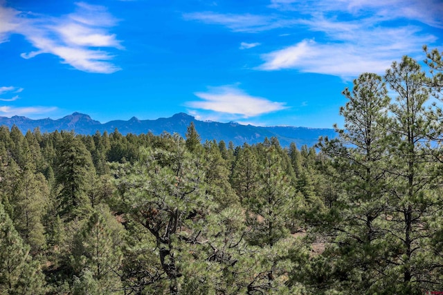 Listing photo 2 for 128 S Feather Ct, Pagosa Springs CO 81147