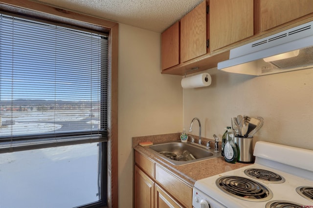 kitchen with sink, a textured ceiling, and white electric range