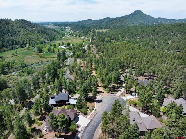 77 Culebra Cir, Durango CO, 81301 land for sale