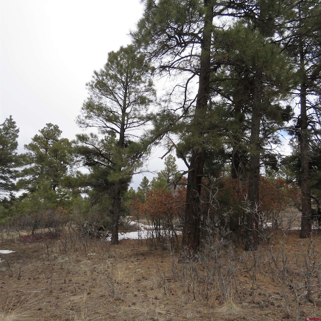 Listing photo 2 for 1084 County Rd 600, Pagosa Springs CO 81147