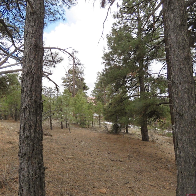 Listing photo 3 for 1084 County Rd 600, Pagosa Springs CO 81147