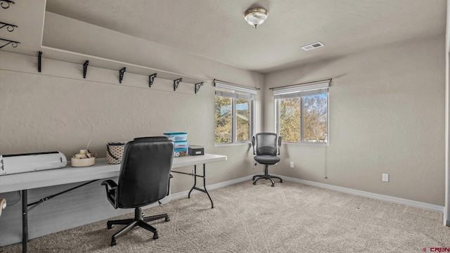 office featuring carpet flooring