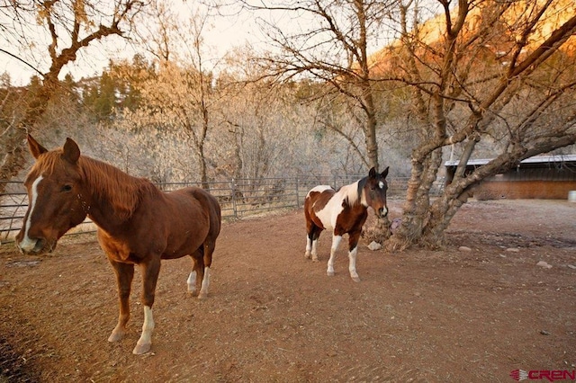 view of horse barn