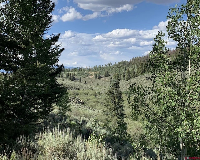 307 Blue Mesa Dr, Powderhorn CO, 81243 land for sale