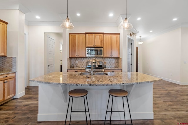 kitchen with tasteful backsplash, a kitchen island with sink, dark hardwood / wood-style flooring, and appliances with stainless steel finishes