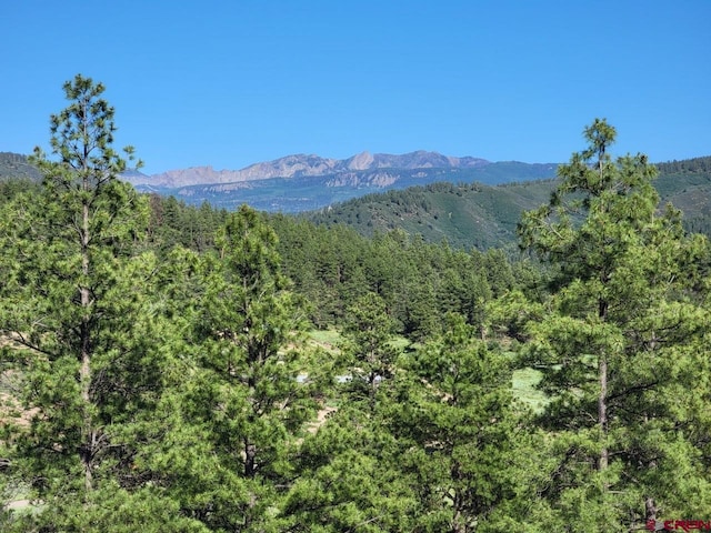 X Catchpole Dr, Pagosa Springs CO, 81147 land for sale