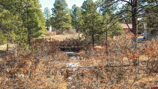 Listing photo 3 for 90 Jubilee Ct, Pagosa Springs CO 81147