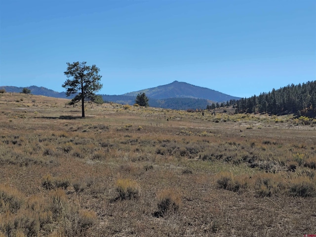 Listing photo 2 for X US Highway 84, Pagosa Springs CO 81147