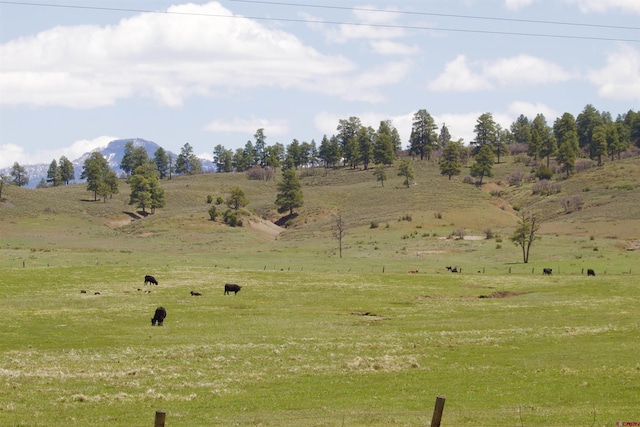 Listing photo 3 for X US Highway 84, Pagosa Springs CO 81147