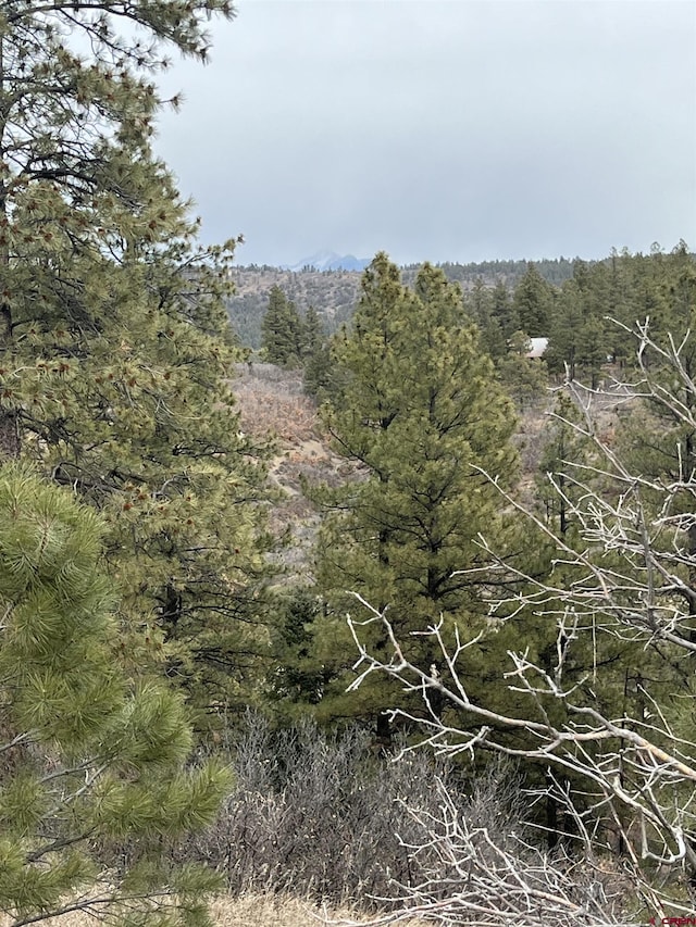 176 Pineridge Trl, Pagosa Springs CO, 81147 land for sale