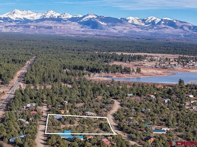 birds eye view of property featuring a water and mountain view