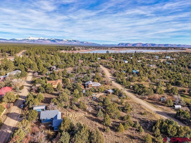 birds eye view of property featuring a mountain view