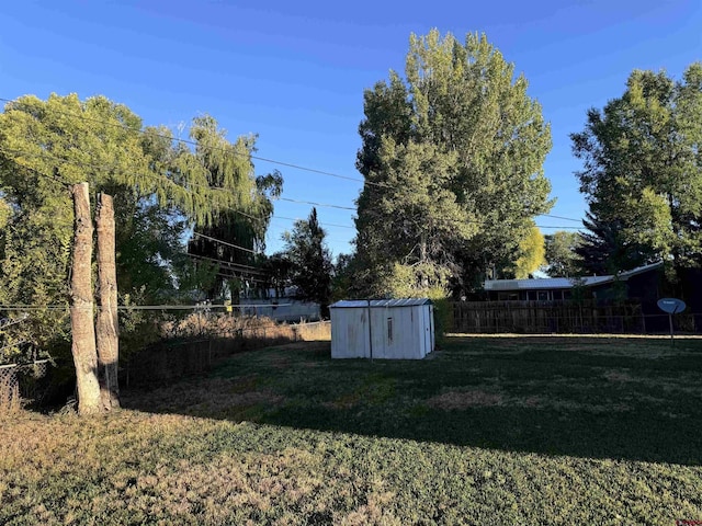 view of yard featuring a storage shed