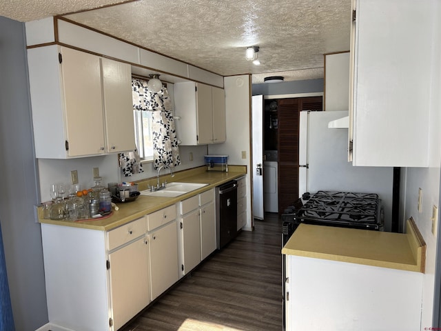 kitchen featuring sink, dark hardwood / wood-style flooring, stainless steel dishwasher, a textured ceiling, and white cabinets