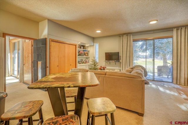 carpeted living room with a textured ceiling