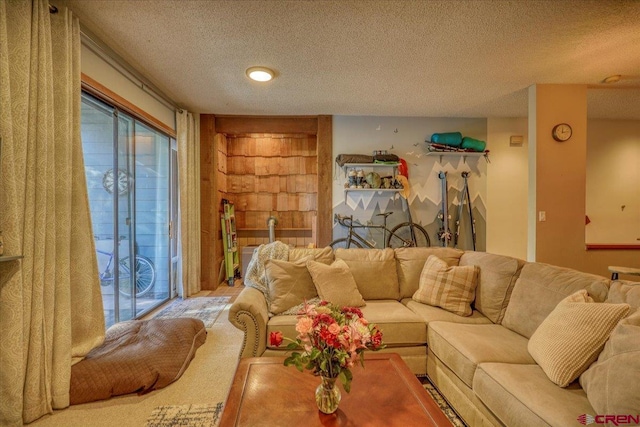 carpeted living room featuring a textured ceiling