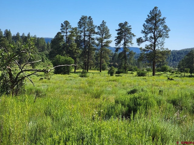 X Catchpole Dr, Pagosa Springs CO, 81147 land for sale