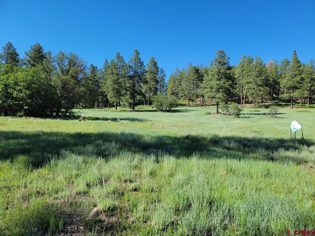 Listing photo 3 for X Catchpole Dr, Pagosa Springs CO 81147