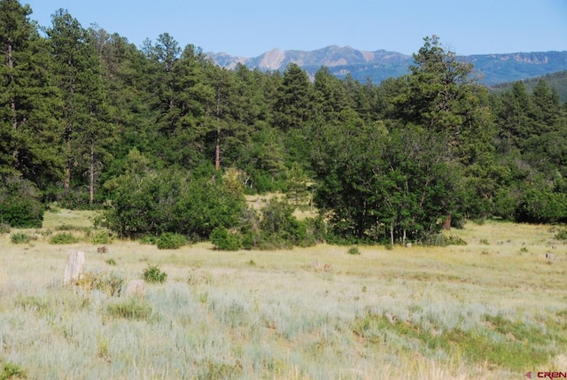 X US Highway 84, Pagosa Springs CO, 81147 land for sale