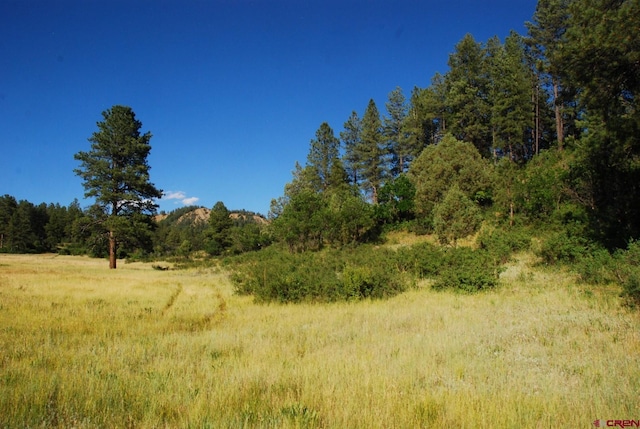 Listing photo 3 for X US Highway 84, Pagosa Springs CO 81147