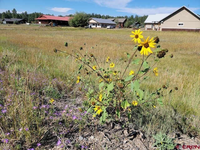 Listing photo 3 for 6496 N Pagosa Blvd, Pagosa Springs CO 81147