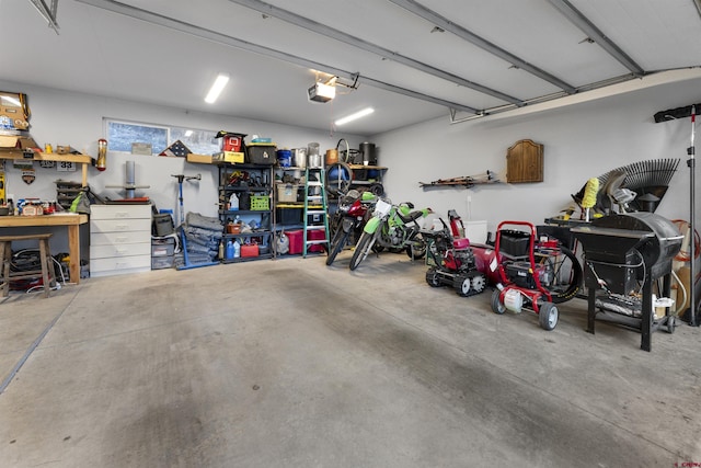 garage with a garage door opener