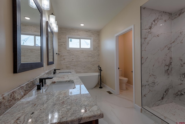 full bathroom featuring vanity, toilet, plenty of natural light, and separate shower and tub