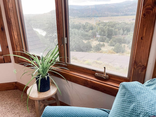 room details featuring a mountain view