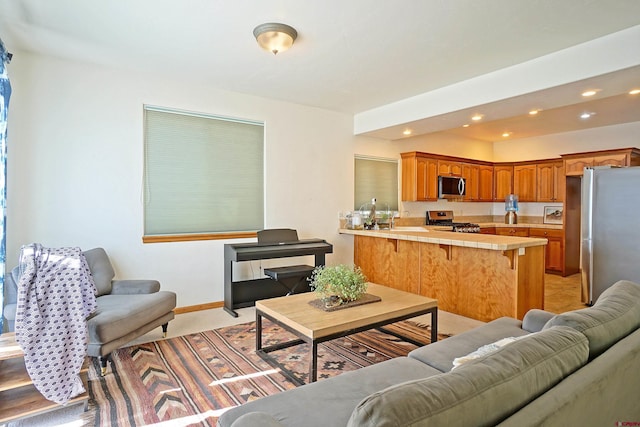 living room featuring sink