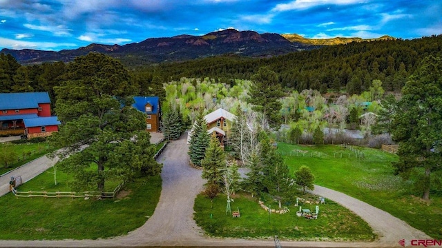 birds eye view of property with a mountain view