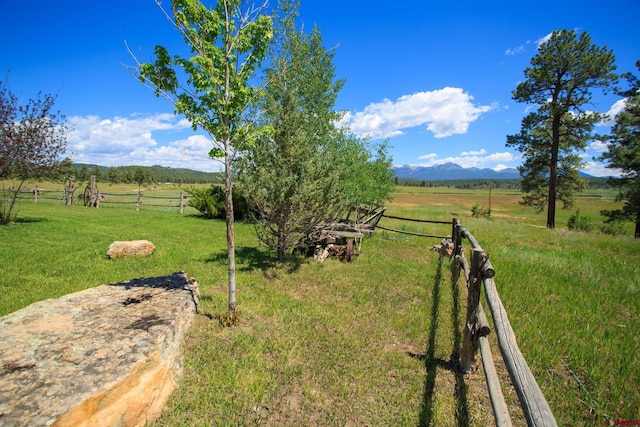 view of yard featuring a rural view