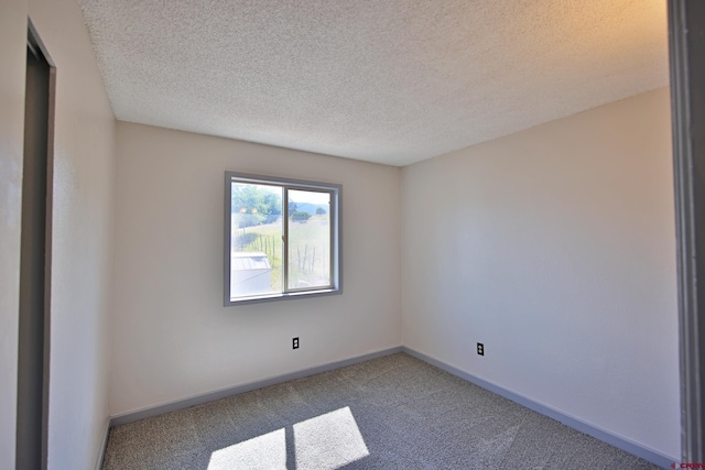 spare room with carpet and a textured ceiling