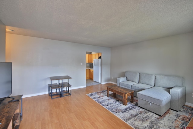 living room with a textured ceiling and light wood-type flooring