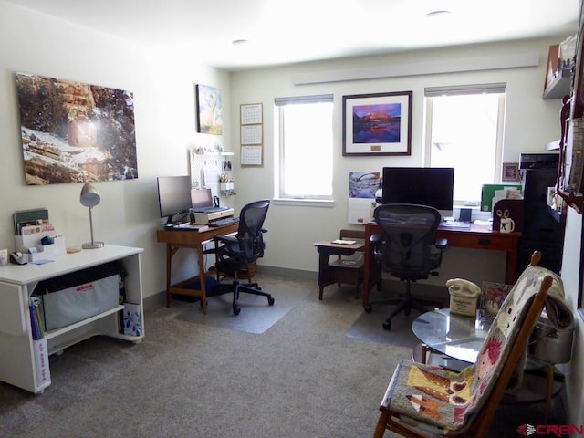 home office with carpet